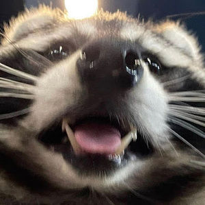 Meet your Posher, Shyanne